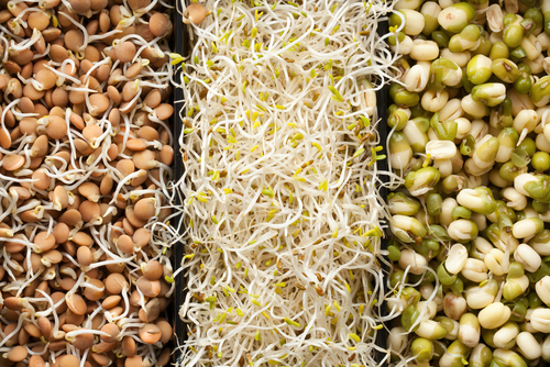 sprouts 3 types v_ small