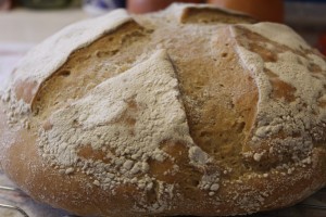 Sourdough Einkorn Bread